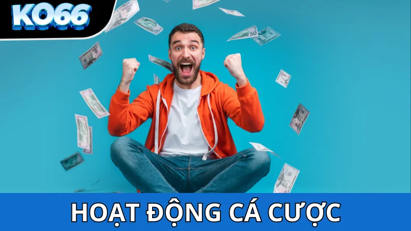 Điều khoản điều kiện về hoạt động cá cược KO66