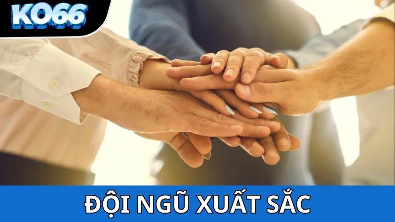 Đội ngũ điều hành xuất sắc của KO66