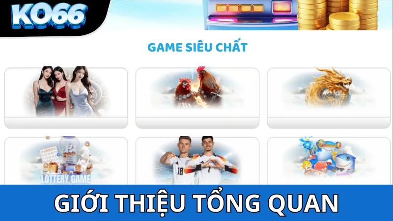 Giới thiệu nhà cái KO 66 - Tổng quan