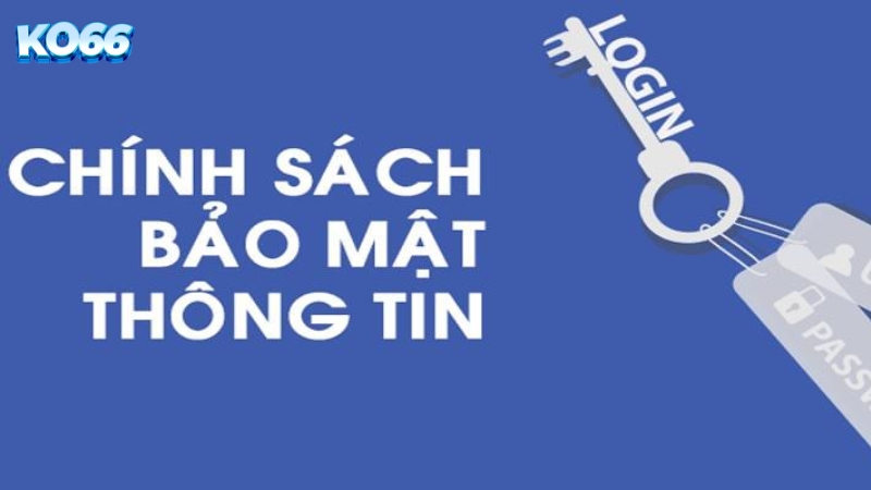 Quyền và trách nhiệm của người chơi về chính sách bảo mật