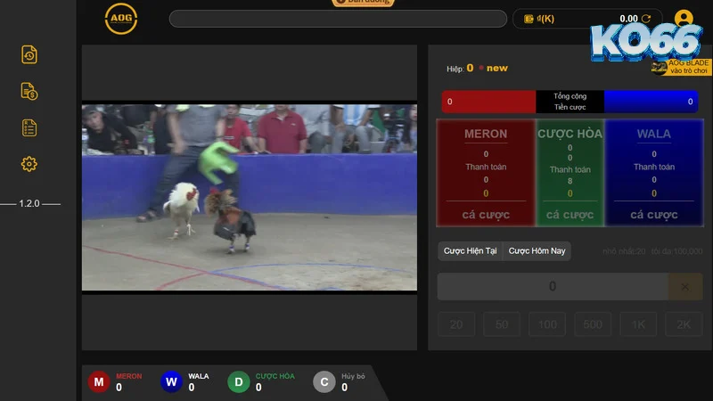 Sảnh chọi gà AOG với các trận đấu sắc nét